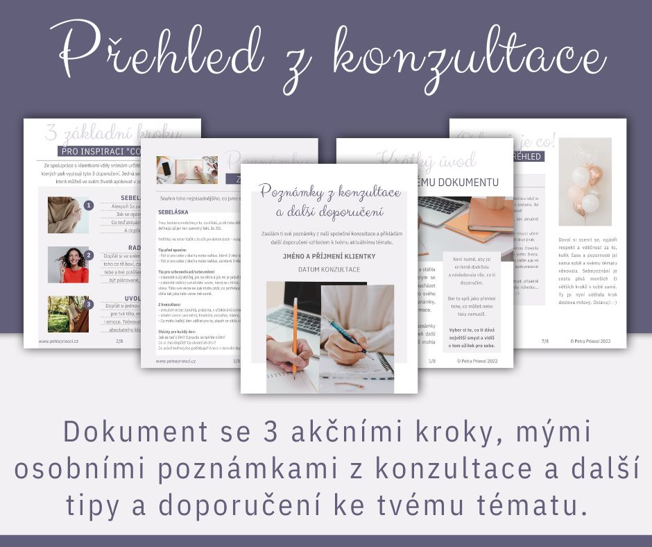 Konzultace-Prehled-nahled-web