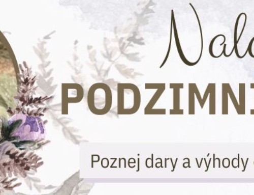 ROČNÍ CYKLY #2: Jak se naladit na podzimní esenci