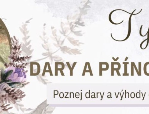 ROČNÍ CYKLY #3: Dary a přínos podzimu